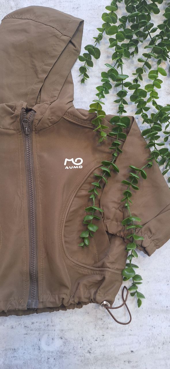 بارونی قهوه ای