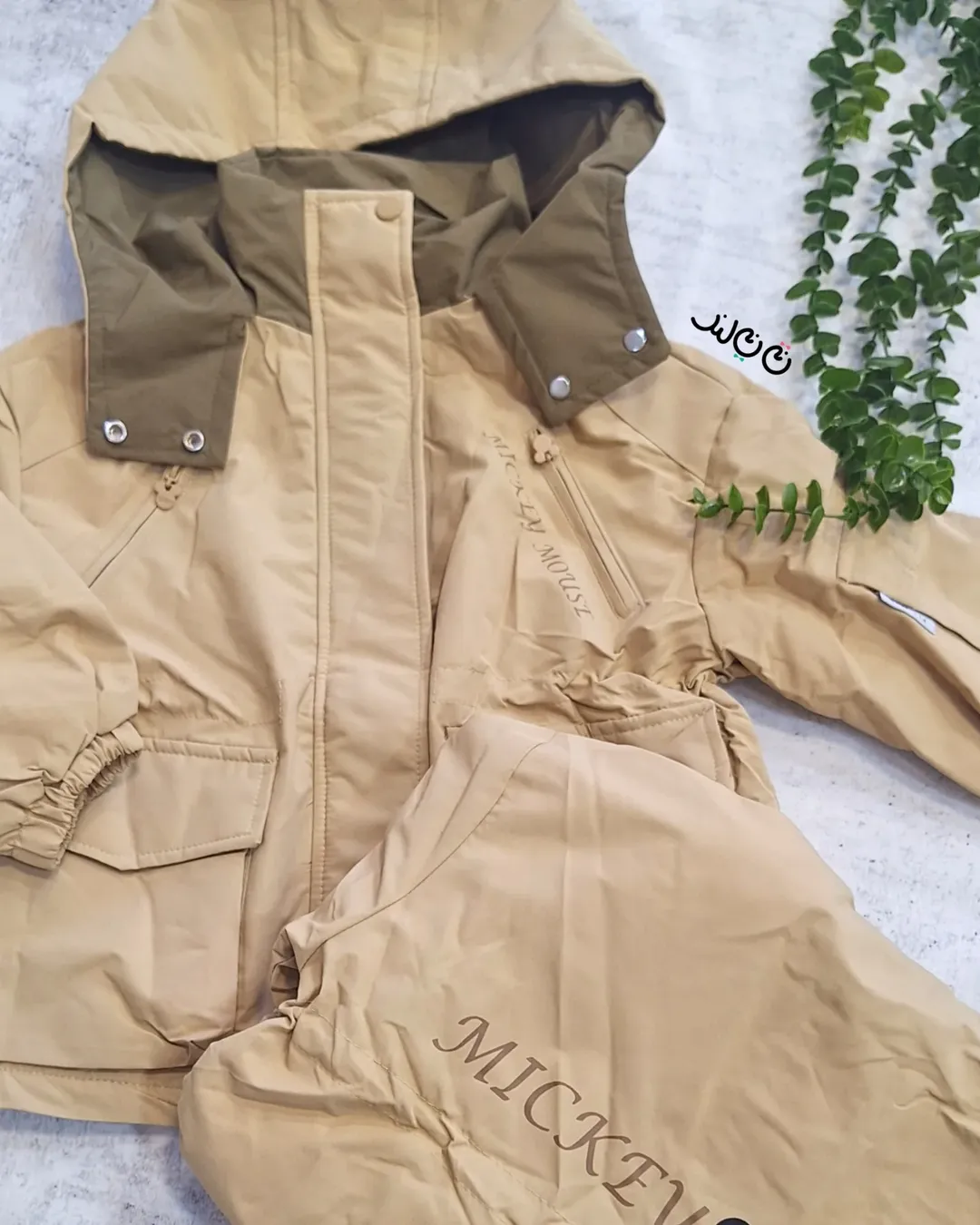 کاپشن دیزنی