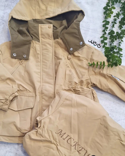 کاپشن دیزنی